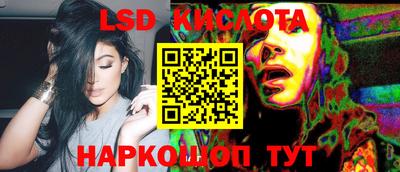Альфа ПВП Новодвинск