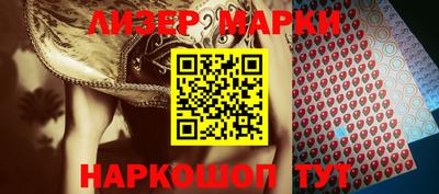 Альфа ПВП Новодвинск