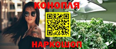 стафф Новокубанск
