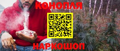 Альфа ПВП Новодвинск