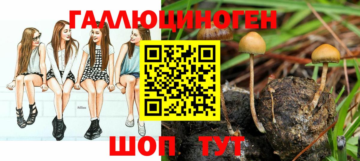Солнечногорск  даркнет сайт  Вход с VPN  Галлюциногенные грибы Cubensis 